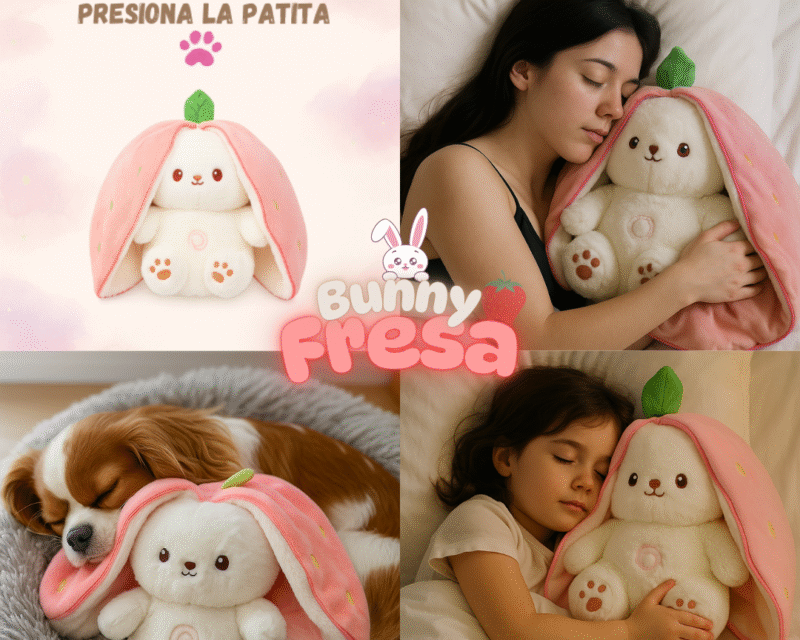 Conejito que respira - Bunny